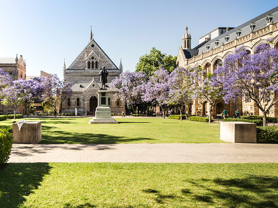 The University of Adelaide campus